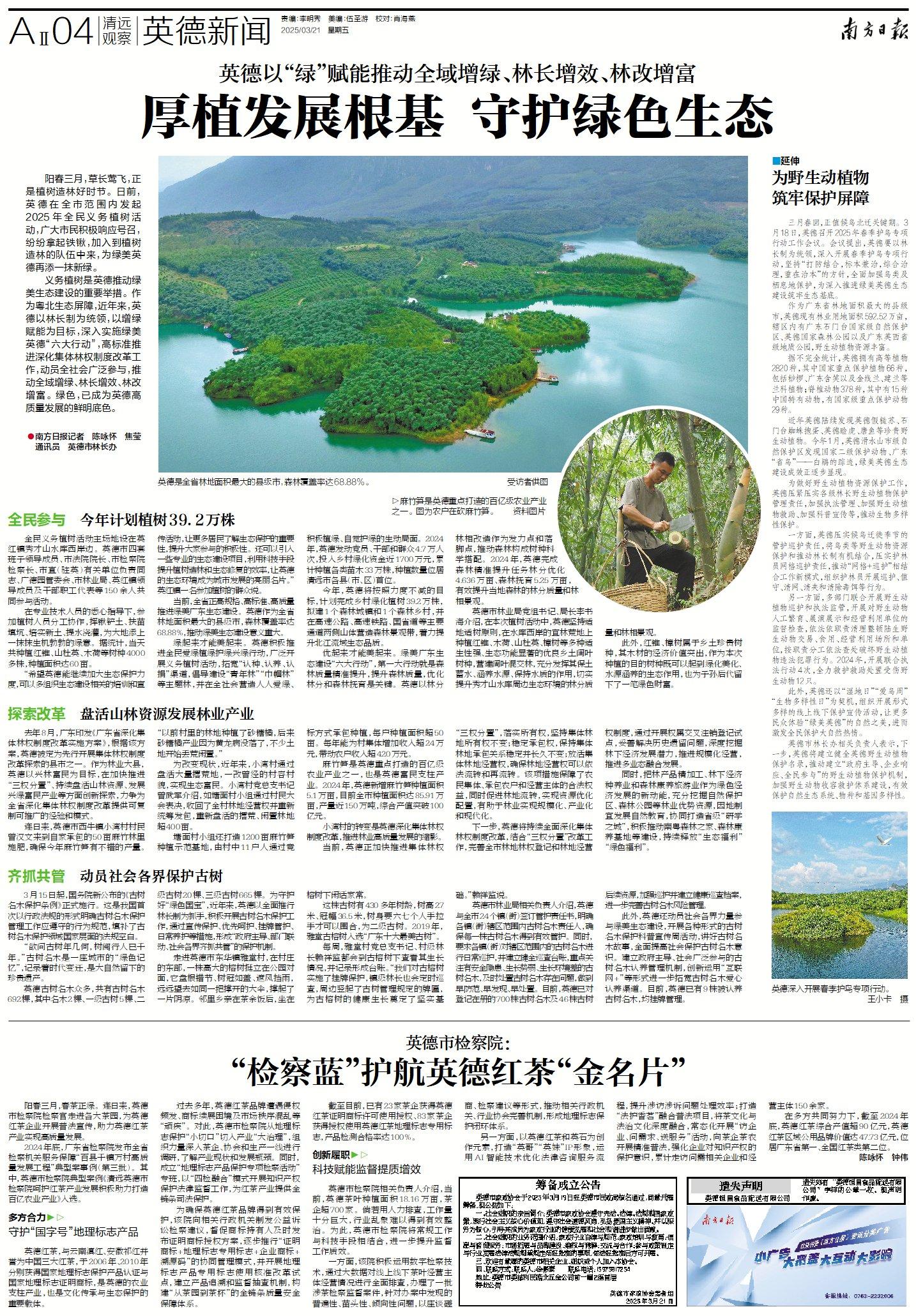 小虫网英德最新信息全解析，从初学者到进阶用户的获取指南